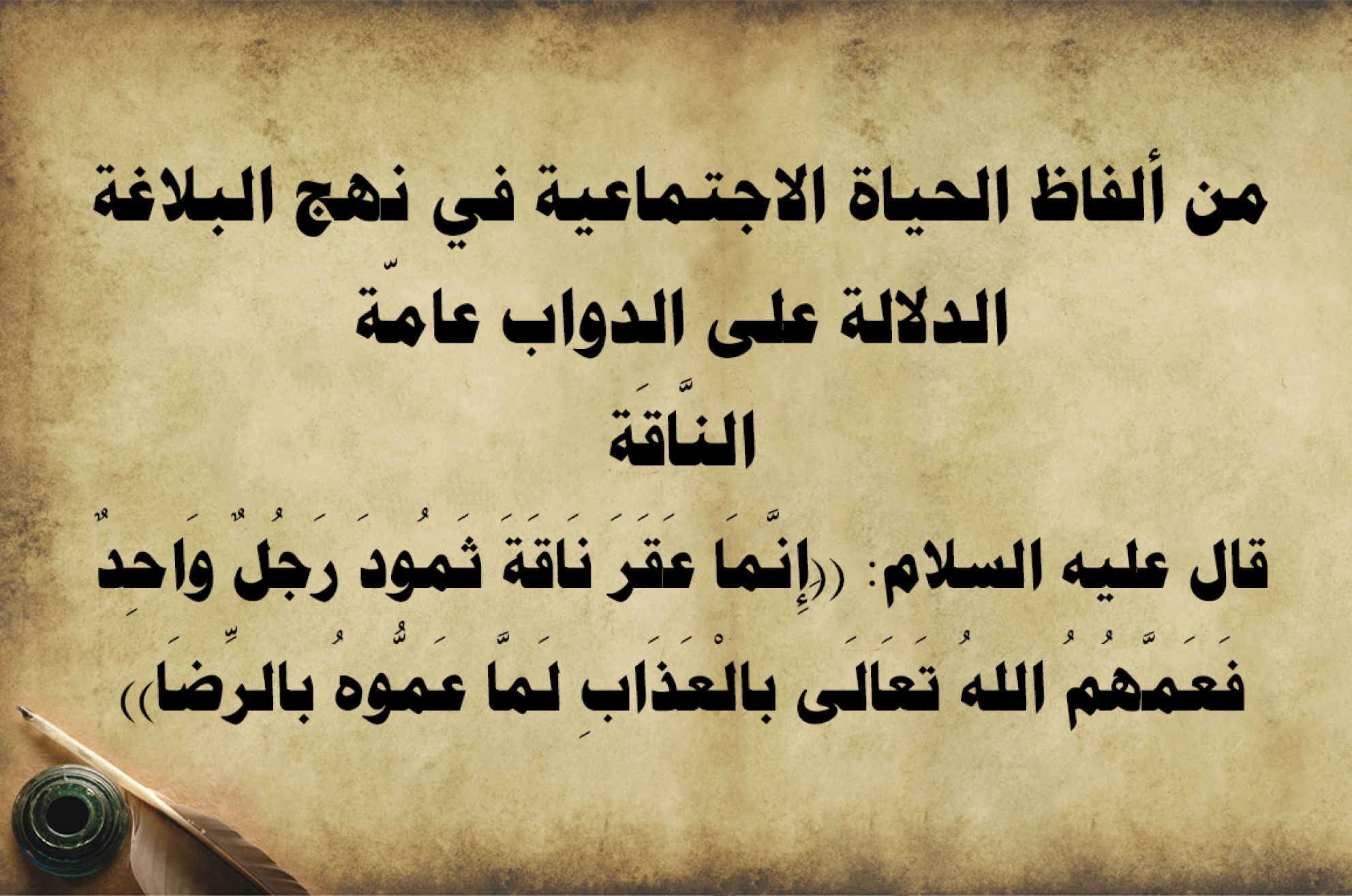 من ألفاظ الحياة الاجتماعية في نهج البلاغة الدلالة على الدواب عامّة/ النَّاقَة قال عليه السلام: ((َإِنَّمَا عَقَرَ نَاقَةَ ثَمُودَ رَجُلٌ وَاحِدٌ فَعَمَّهُمُ اللهُ تَعَالَى بالْعَذَابِ لَمَّا عَمُّوهُ بالرِّضَا))